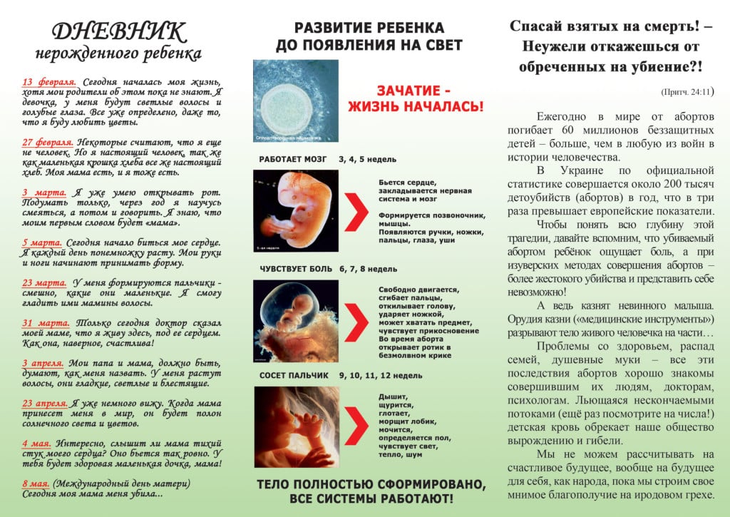 О выкидыше стих О выкидыше стих